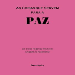 As Coisas que Servem para a Paz