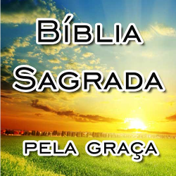 Bíblia Sagrada AN